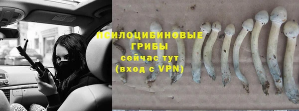 MESCALINE Богородск