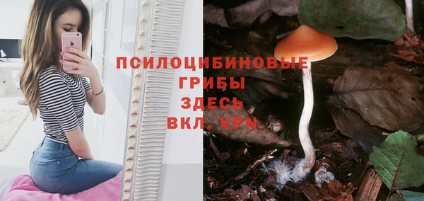 МДМА Богданович
